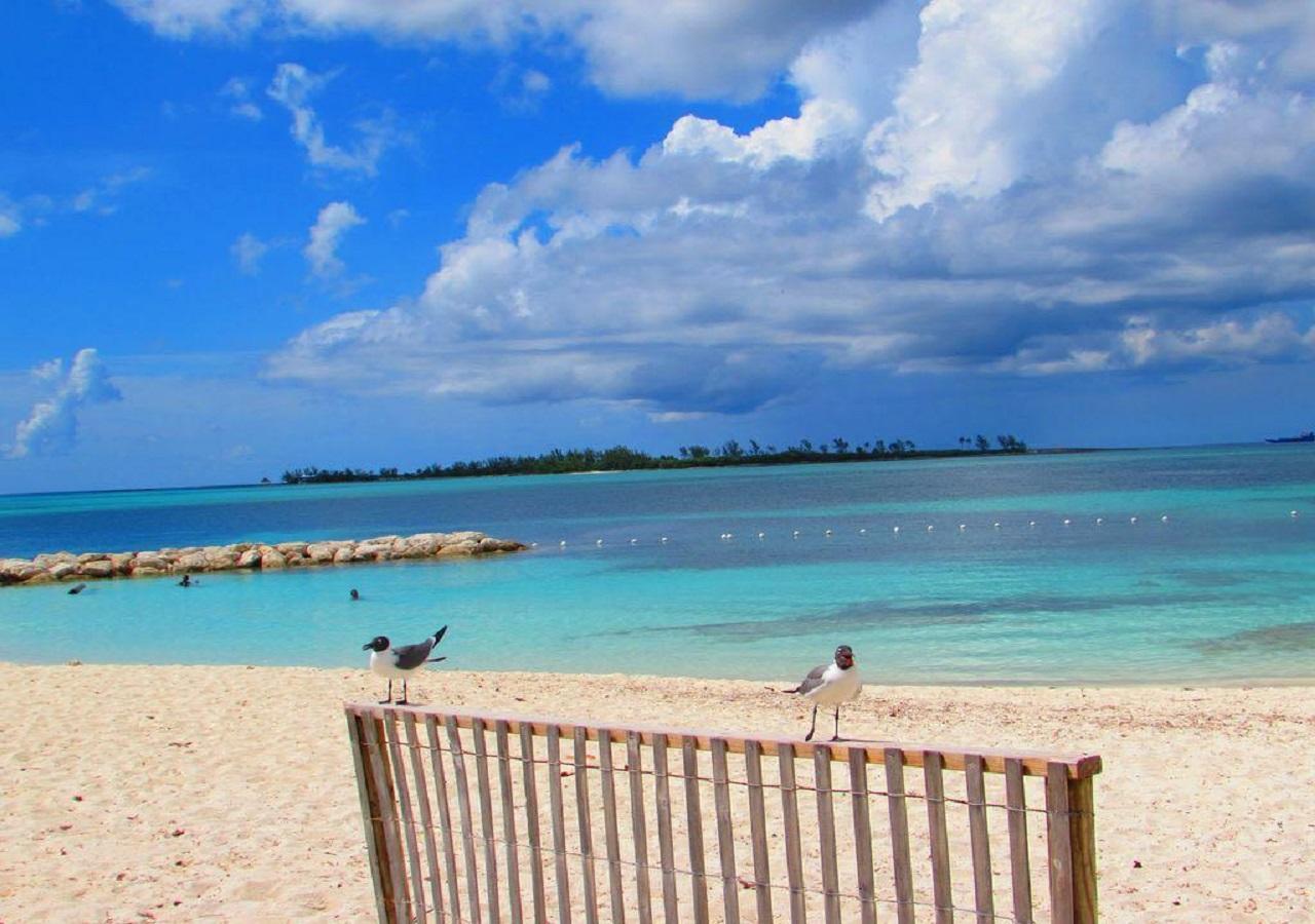 Appartamento The Oasis Retreat Nassau Esterno foto