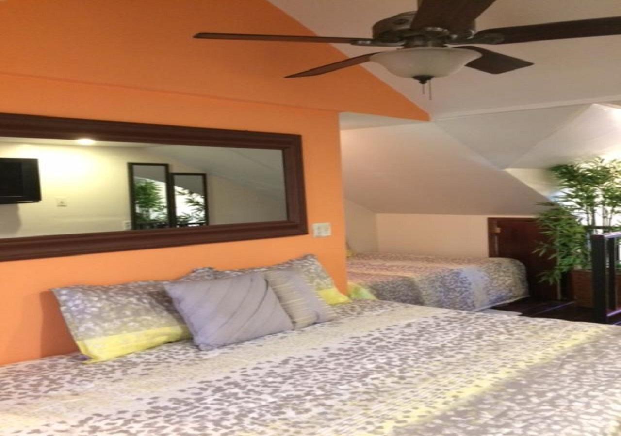 Appartamento The Oasis Retreat Nassau Esterno foto